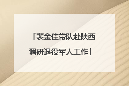 裴金佳带队赴陕西调研退役军人工作
