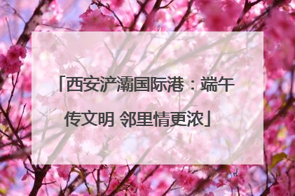西安浐灞国际港：端午传文明 邻里情更浓