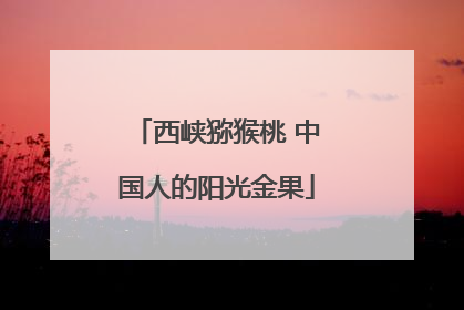 西峡猕猴桃 中国人的阳光金果
