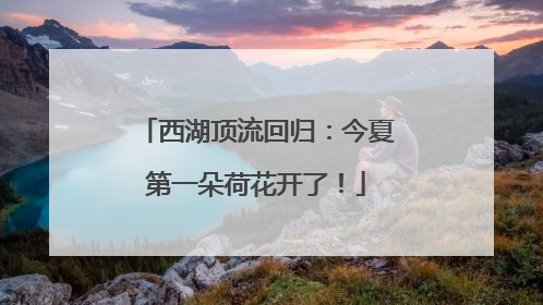 西湖顶流回归：今夏第一朵荷花开了！