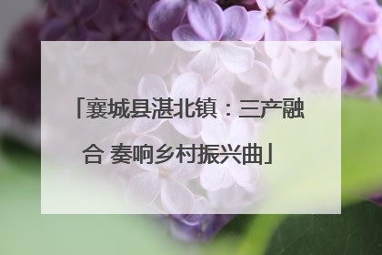 襄城县湛北镇：三产融合 奏响乡村振兴曲