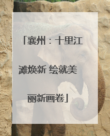 襄州：十里江滩焕新 绘就美丽新画卷