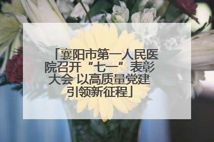 襄阳市第一人民医院召开“七一”表彰大会 以高质量党建引领新征程
