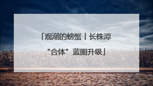 观潮的螃蟹丨长株潭“合体”蓝图升级
