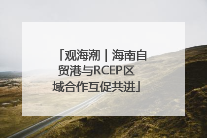 观海潮｜海南自贸港与RCEP区域合作互促共进