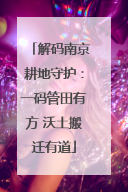 解码南京耕地守护：一码管田有方 沃土搬迁有道