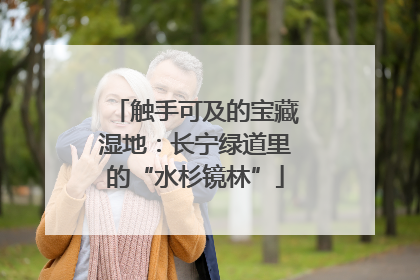 触手可及的宝藏湿地：长宁绿道里的“水杉镜林”