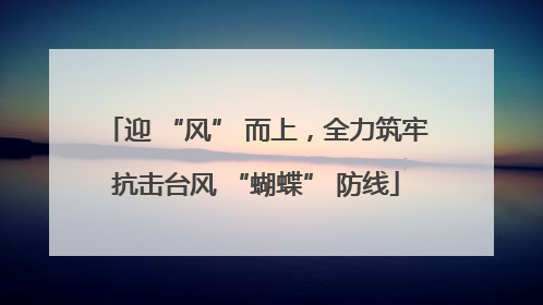 迎 “风” 而上，全力筑牢抗击台风 “蝴蝶” 防线