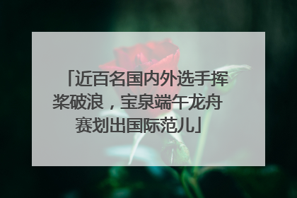 近百名国内外选手挥桨破浪，宝泉端午龙舟赛划出国际范儿