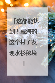 这都能找到！威海的这个村子发现水杉秘境