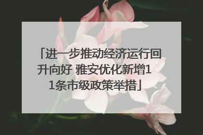 进一步推动经济运行回升向好 雅安优化新增11条市级政策举措