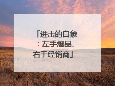 进击的白象：左手爆品、右手经销商