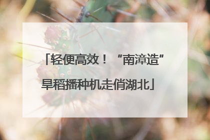 轻便高效！“南漳造”旱稻播种机走俏湖北
