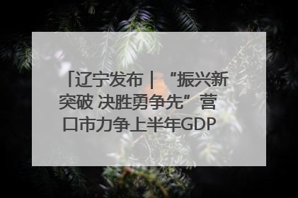 辽宁发布｜“振兴新突破 决胜勇争先”营口市力争上半年GDP增长6%左右