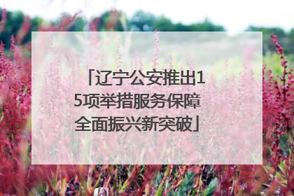 辽宁公安推出15项举措服务保障全面振兴新突破