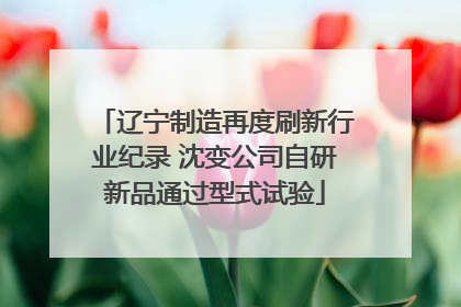 辽宁制造再度刷新行业纪录 沈变公司自研新品通过型式试验