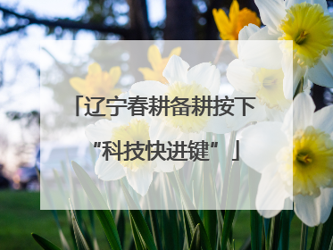 辽宁春耕备耕按下“科技快进键”