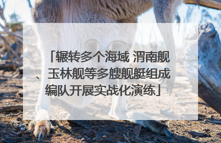 辗转多个海域 渭南舰、玉林舰等多艘舰艇组成编队开展实战化演练