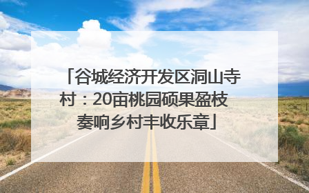 谷城经济开发区洞山寺村：20亩桃园硕果盈枝 奏响乡村丰收乐章