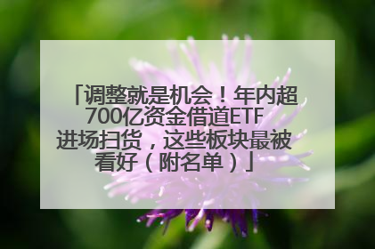 调整就是机会！年内超700亿资金借道ETF进场扫货，这些板块最被看好（附名单）