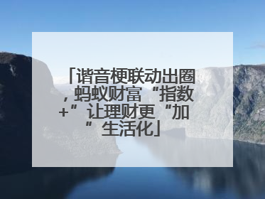 谐音梗联动出圈，蚂蚁财富“指数+”让理财更“加”生活化