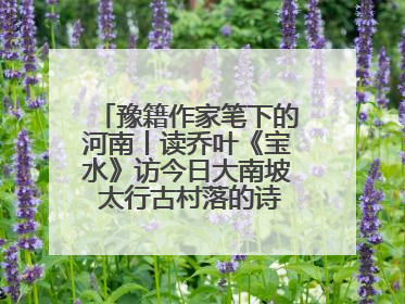 豫籍作家笔下的河南丨读乔叶《宝水》访今日大南坡 太行古村落的诗意重生