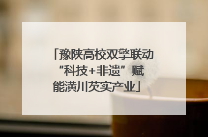 豫陕高校双擎联动 “科技+非遗”赋能潢川芡实产业