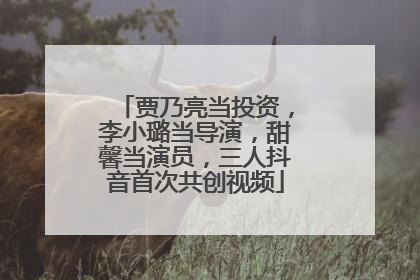 贾乃亮当投资，李小璐当导演，甜馨当演员，三人抖音首次共创视频