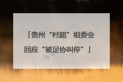 贵州“村超”组委会回应“被足协叫停”
