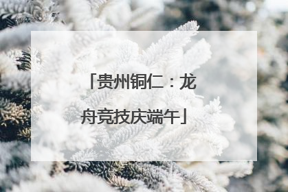 贵州铜仁：龙舟竞技庆端午