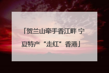 贺兰山牵手香江畔 宁夏特产“走红”香港
