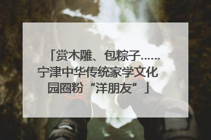 赏木雕、包粽子……宁津中华传统家学文化园圈粉“洋朋友”