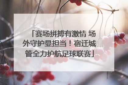 赛场拼搏有激情 场外守护显担当！宿迁城管全力护航足球联赛