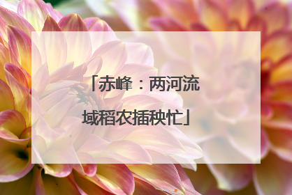 赤峰：两河流域稻农插秧忙