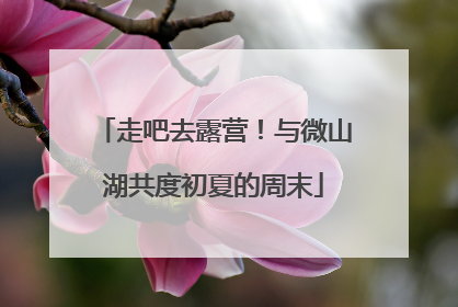走吧去露营！与微山湖共度初夏的周末
