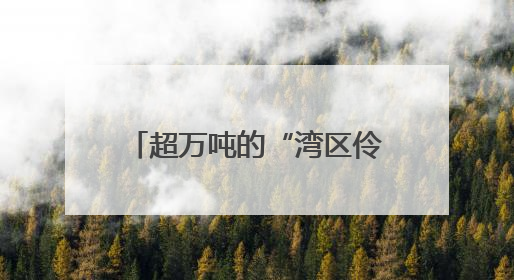 超万吨的“湾区伶仃”号如何移动？工程师揭秘：类似“蚂蚁托大象”