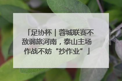 足协杯｜蓉城联赛不敌弱旅河南，泰山主场作战不妨“抄作业”