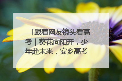 跟着网友镜头看高考｜葵花向阳开，少年赴未来，安乡高考首日的希望图景