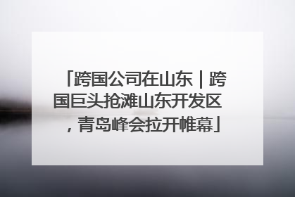跨国公司在山东｜跨国巨头抢滩山东开发区，青岛峰会拉开帷幕