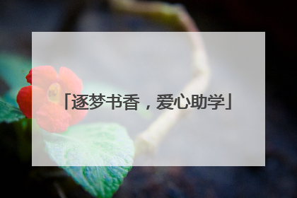 逐梦书香，爱心助学
