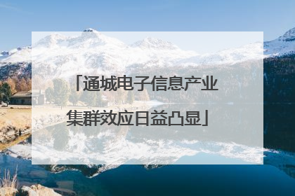 通城电子信息产业集群效应日益凸显