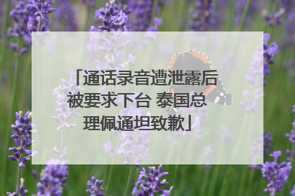 通话录音遭泄露后被要求下台 泰国总理佩通坦致歉