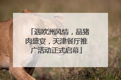 遇欧洲风情，品猪肉盛宴，天津餐厅推广活动正式启幕