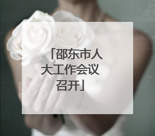 邵东市人大工作会议召开