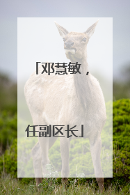 邓慧敏，任副区长