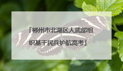 郴州市北湖区人武部组织基干民兵护航高考