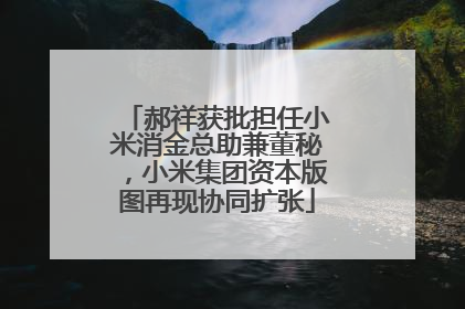 郝祥获批担任小米消金总助兼董秘，小米集团资本版图再现协同扩张
