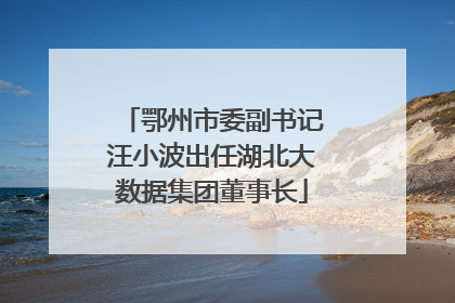 鄂州市委副书记汪小波出任湖北大数据集团董事长