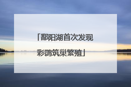 鄱阳湖首次发现彩鹮筑巢繁殖