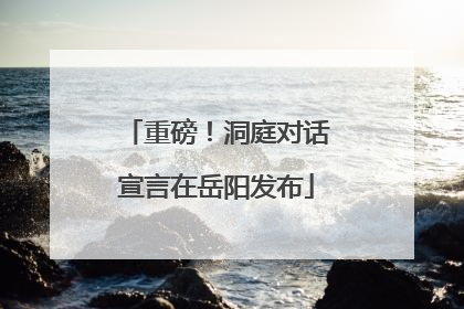 重磅！洞庭对话宣言在岳阳发布
